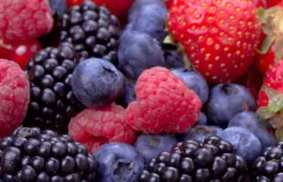 FRUTOS