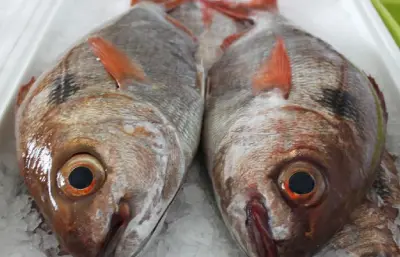 PESCADO DE RÍO