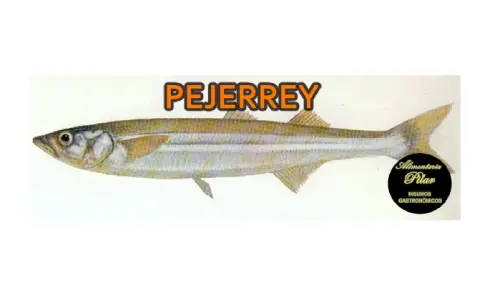 Pejerrey